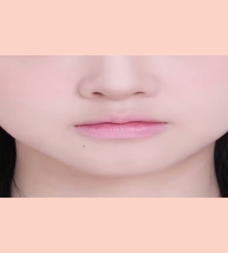 紹介動画