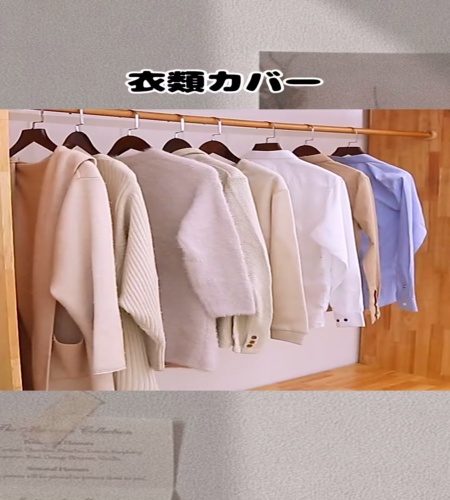 紹介動画