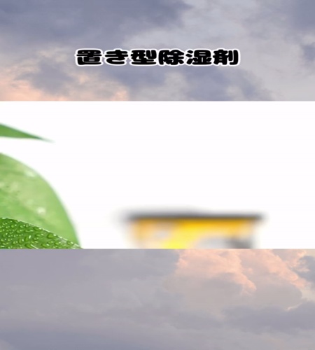 紹介動画