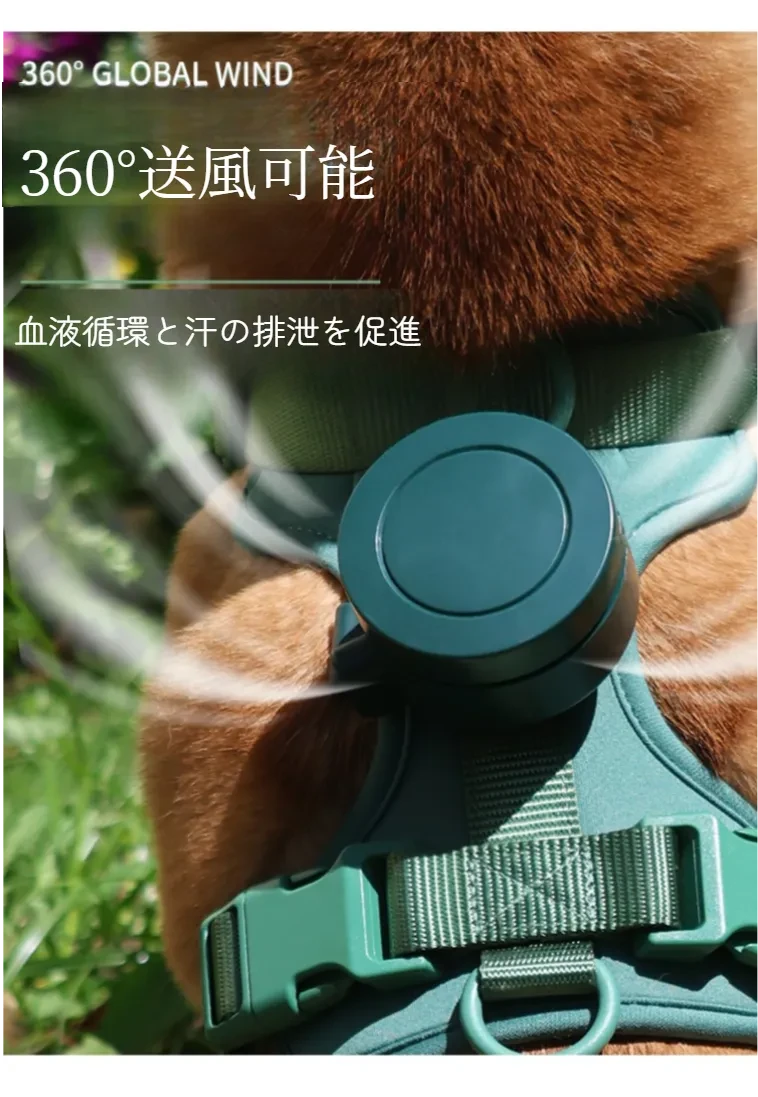 O1CN01BwkmLB1JHsaNytSI4_!!4103171004.jpg?x-oss-process=image/format,webp
