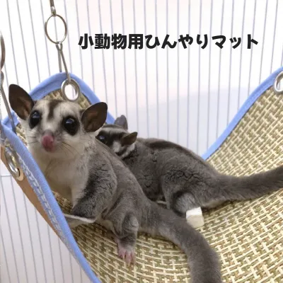 小動物用ひんやりマット｜ハンモック・ケージにつける・多サイズ・夏・涼しい