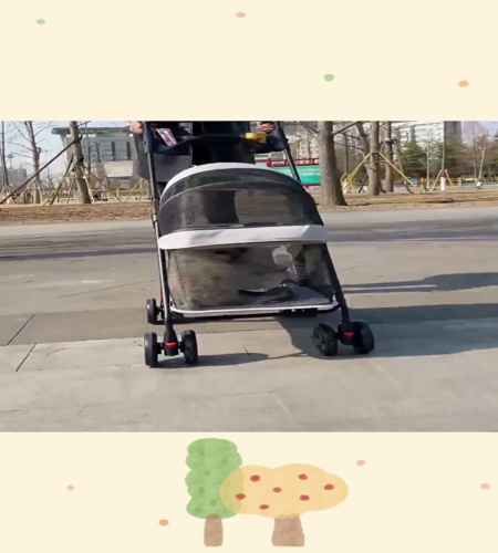 紹介動画