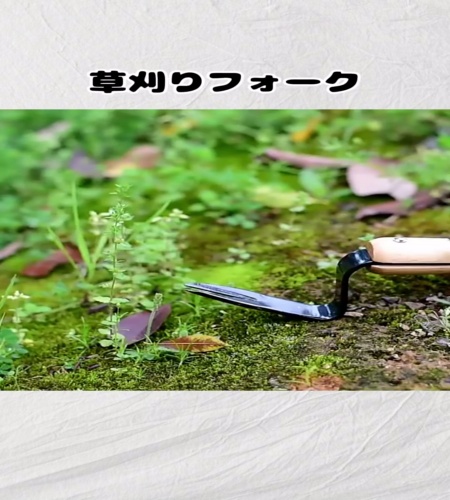 紹介動画