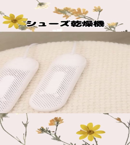 紹介動画