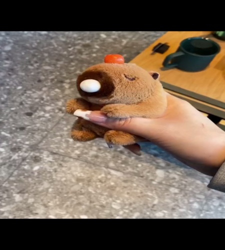 紹介動画