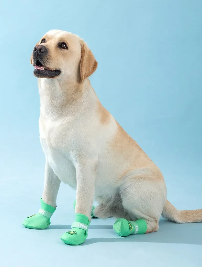 O1CN01m2MvlR2APMiDXPcHG_!!2743028195-0-cib.jpg?x-oss-process=image/format,webp