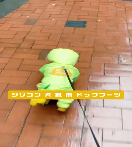 紹介動画
