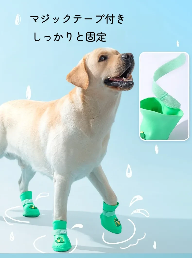 O1CN01MMKvaD2APMi9knuZc_!!2743028195-0-cib.jpg?x-oss-process=image/format,webp