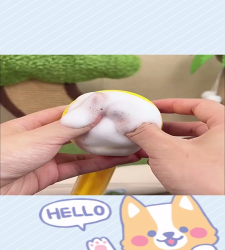 紹介動画