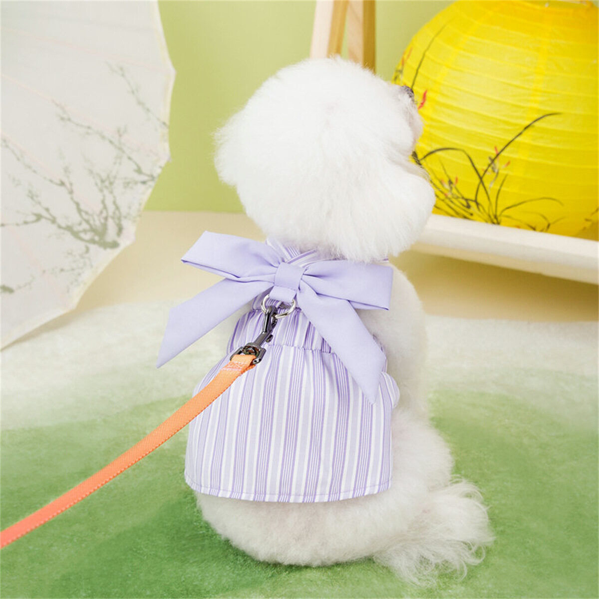 ペット用ドレス｜春夏・韓国風・小型犬・猫・リボン・|undefined