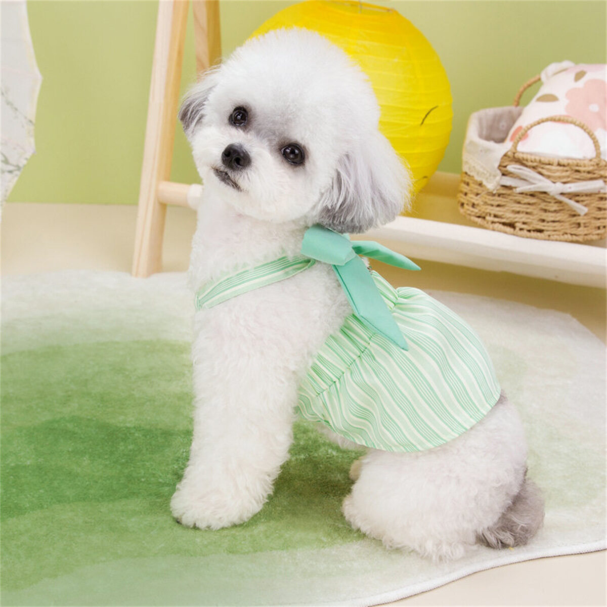 ペット用ドレス｜春夏・韓国風・小型犬・猫・リボン・|undefined