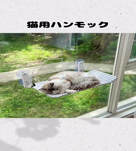 紹介動画