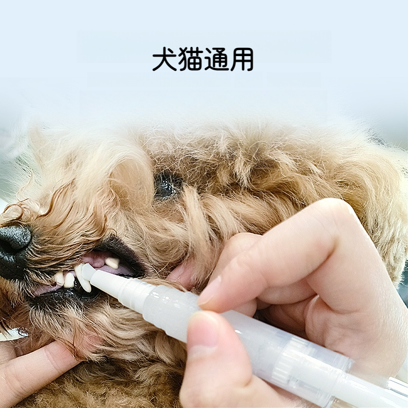 ペット歯ブラシ｜歯磨き・爽やか・口臭対策・犬猫用・便利な・使いやすい|undefined