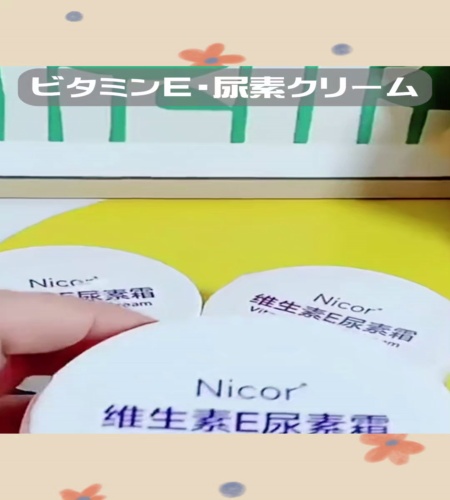 紹介動画
