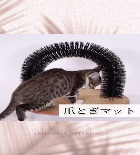 紹介動画