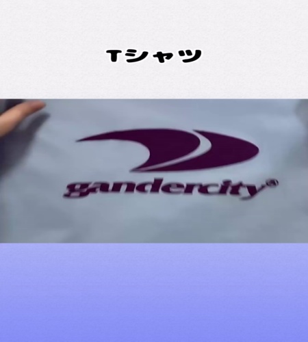 紹介動画