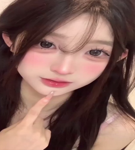 紹介動画