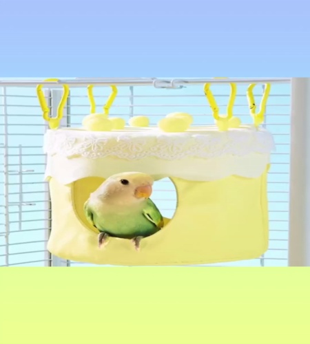 紹介動画