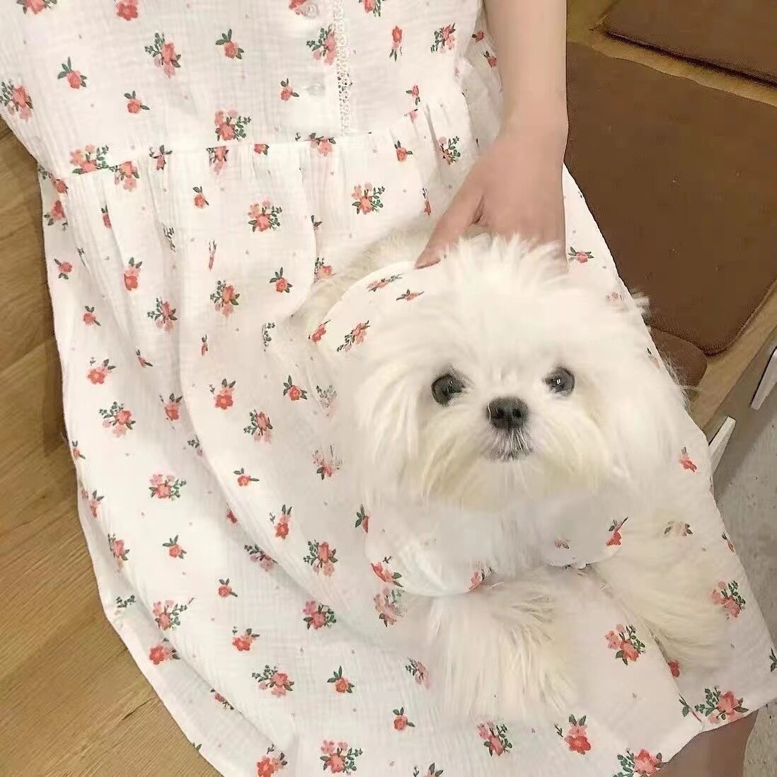 ペットドレス｜フラワープリント・ペット服・犬猫・冬用・小型犬|undefined