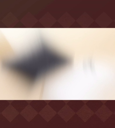 紹介動画