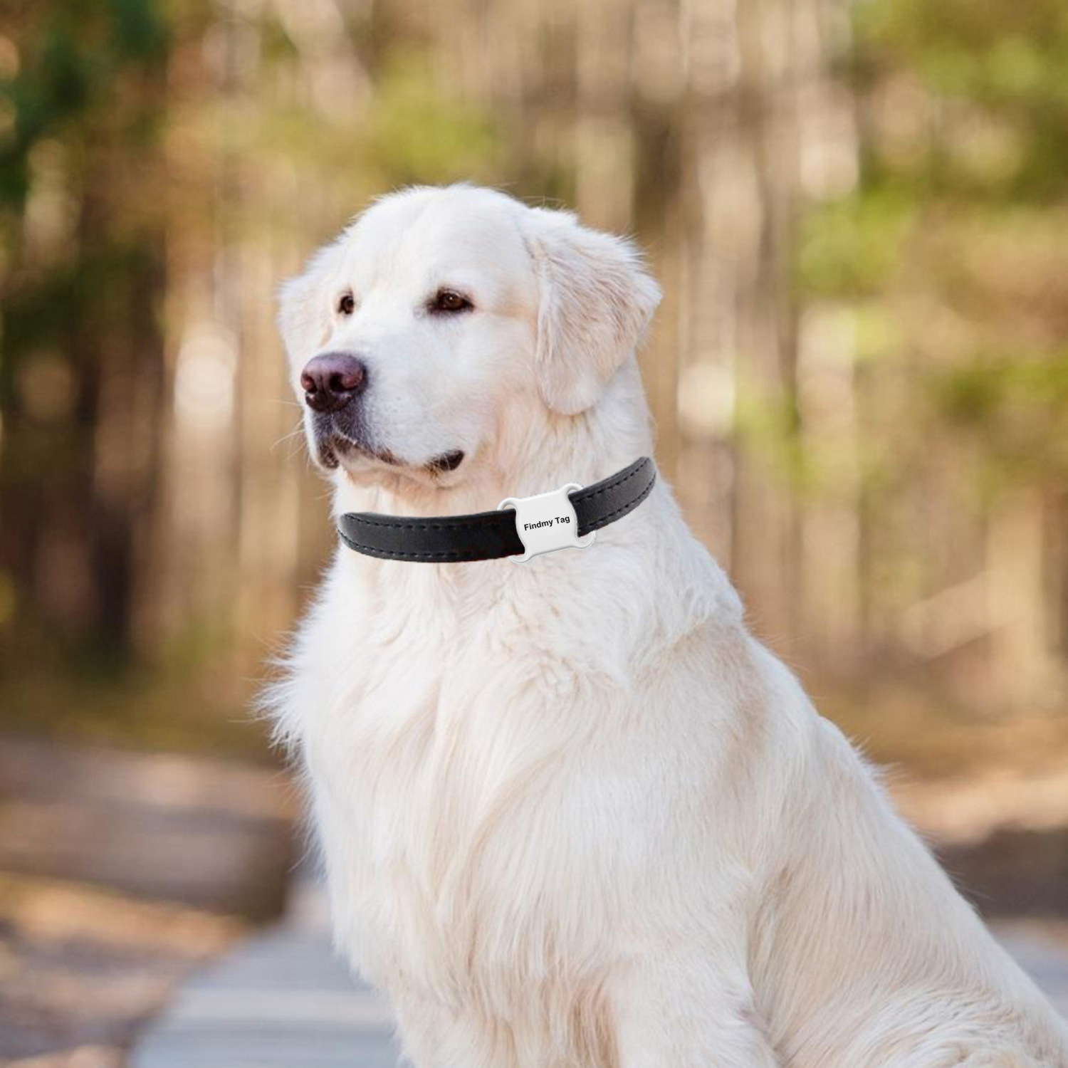 ペット用トラッカー｜犬猫通用・位置確認・紛失防止・便利・持ち運び便利・軽量|undefined