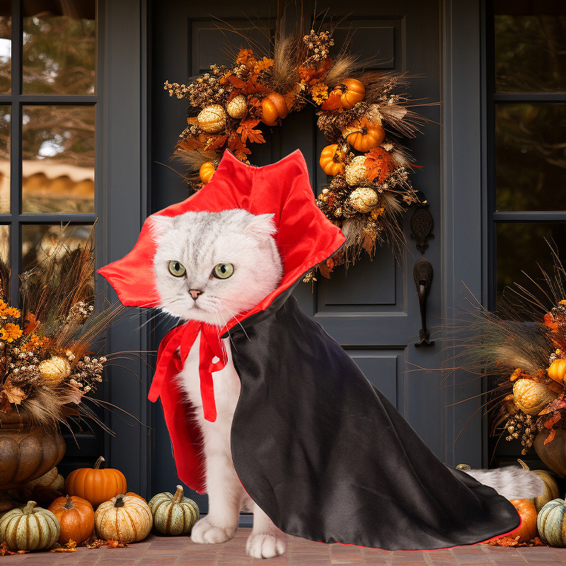 ペット用マント｜ハロウィン・個性的・ユニーク・猫犬用・ペット服・面白い|undefined