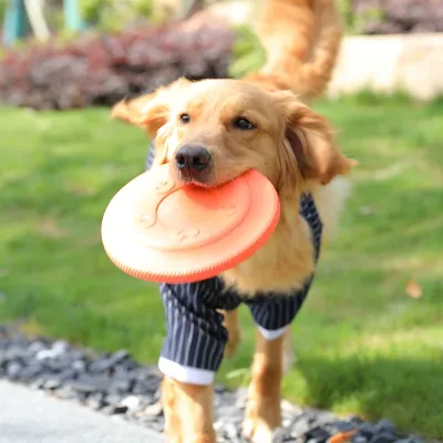 ワンちゃんフリスビー | 噛むおもちゃ 犬訓練用 犬運動不足解消