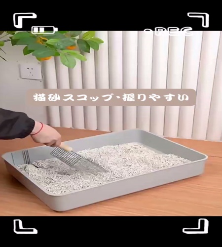紹介動画