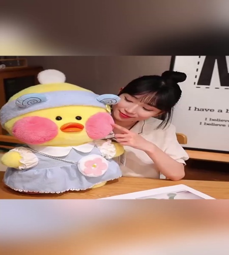 紹介動画