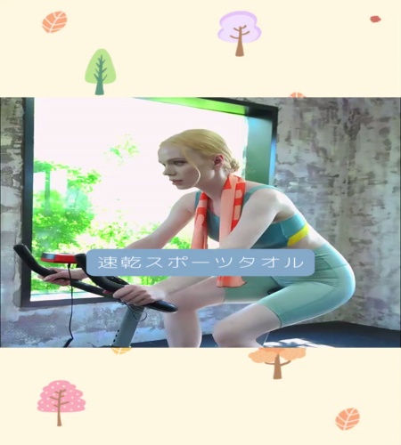 紹介動画