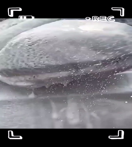 紹介動画