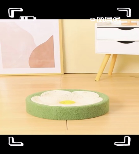 紹介動画