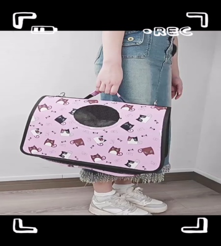 紹介動画