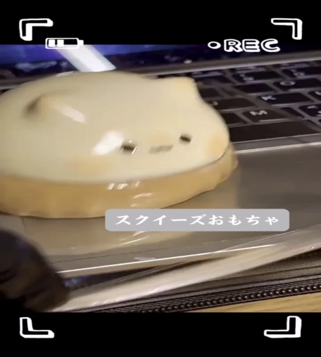 紹介動画