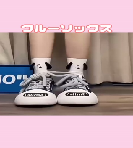 紹介動画