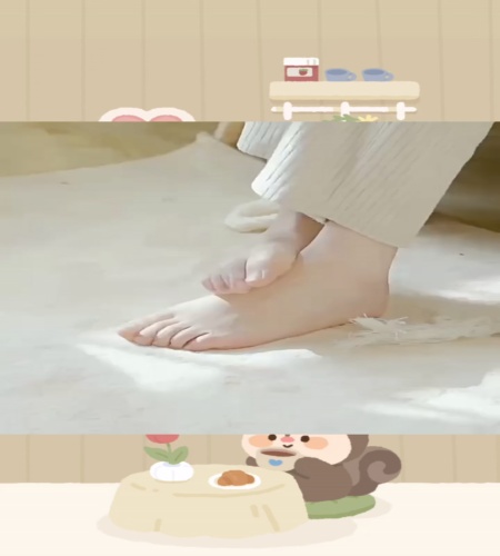 紹介動画