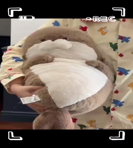 紹介動画