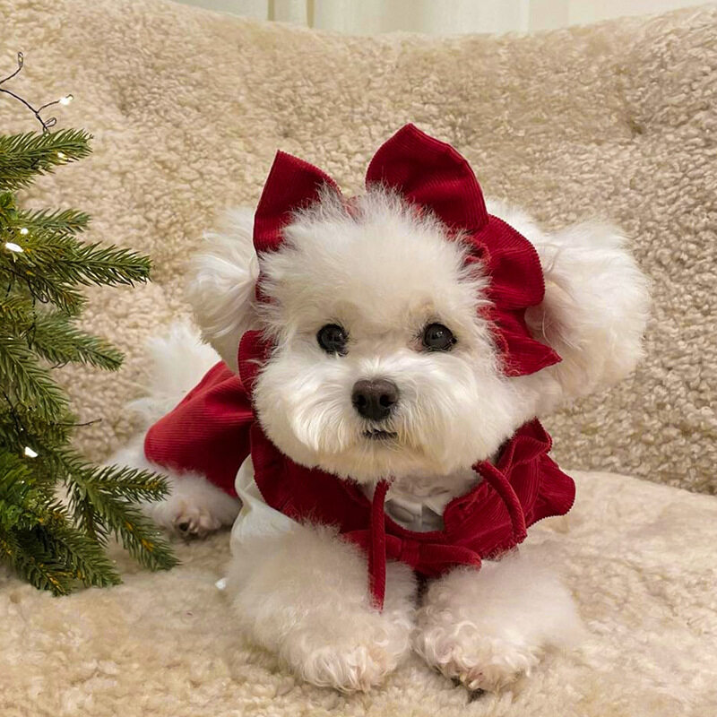 ペット服｜犬服・スカート・小型犬用・クリスマス・秋冬用・猫用・可愛い・リボン|undefined