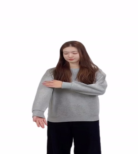紹介動画