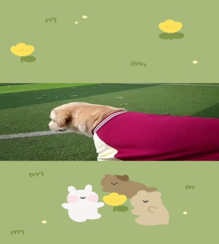 紹介動画