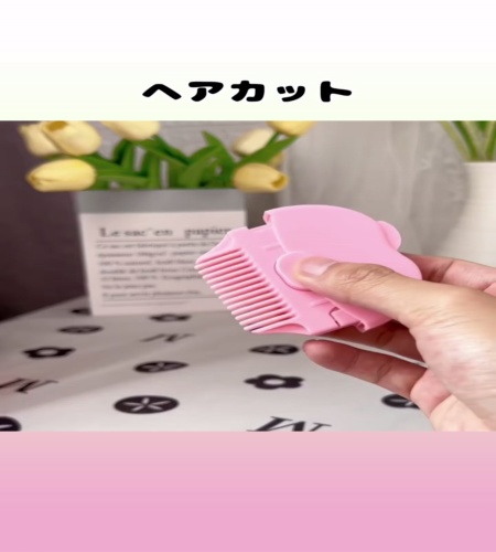 紹介動画
