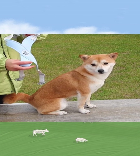 紹介動画