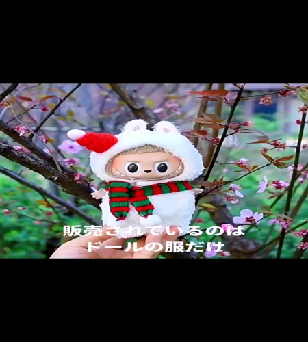 紹介動画