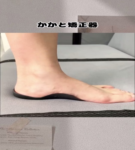紹介動画