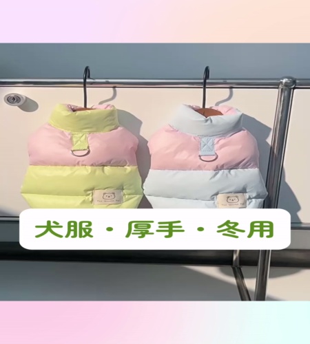 紹介動画