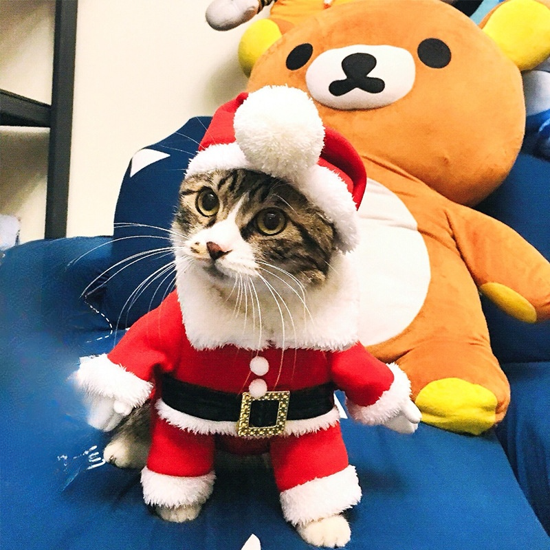 犬服｜犬猫用・クリスマス・小型犬・おもしろ・個性的・サンタ・ペット用|undefined