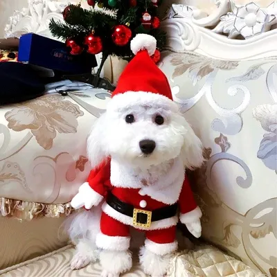 犬服｜犬猫用・クリスマス・小型犬・おもしろ・個性的・サンタ・ペット用