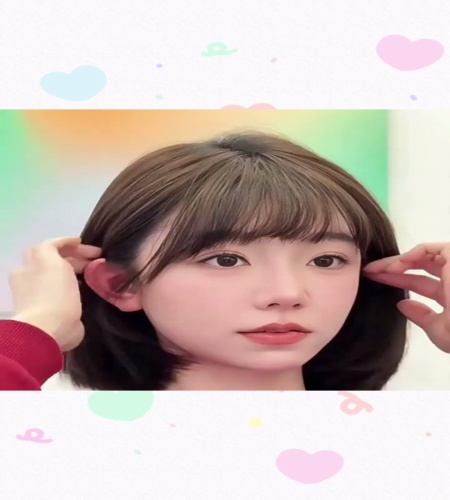 紹介動画