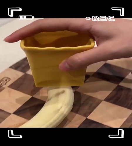 紹介動画