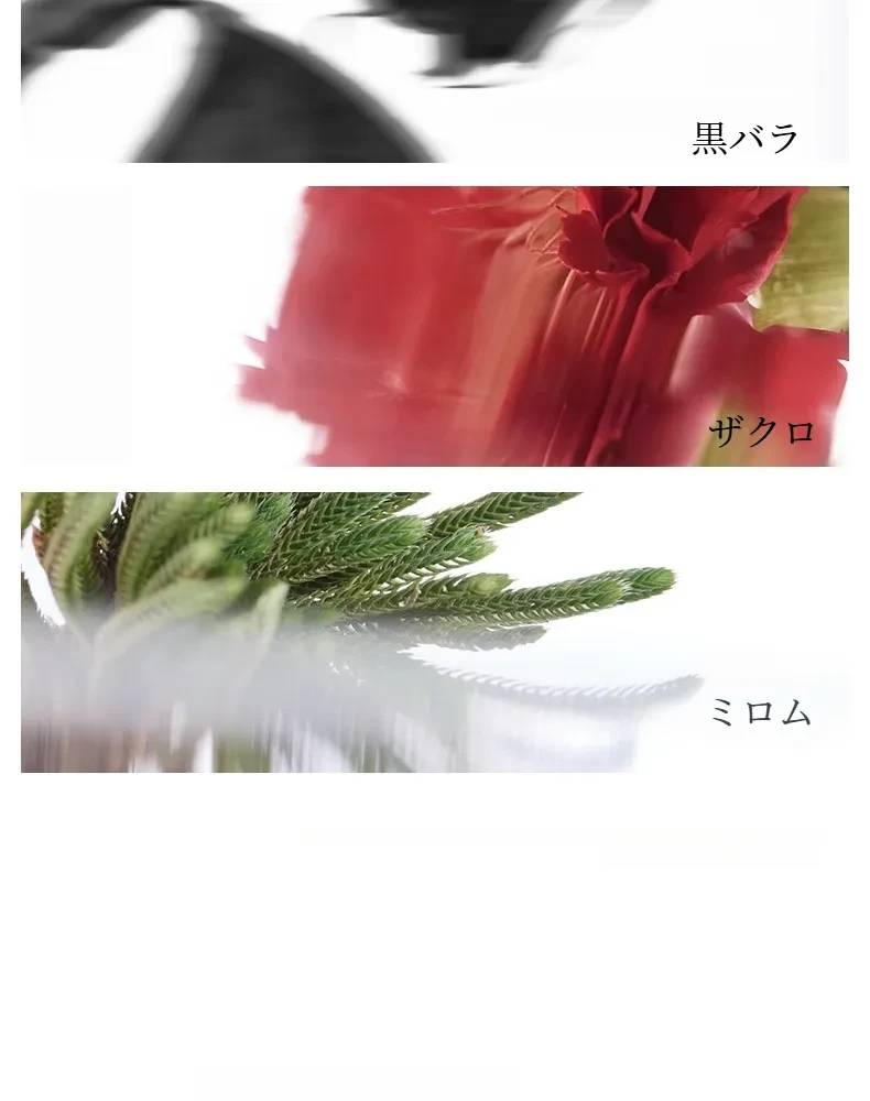 O1CN01Q1JRot1P2Cn76WSLR_!!2214835471782-0-cib.jpg?x-oss-process=image/format,webp